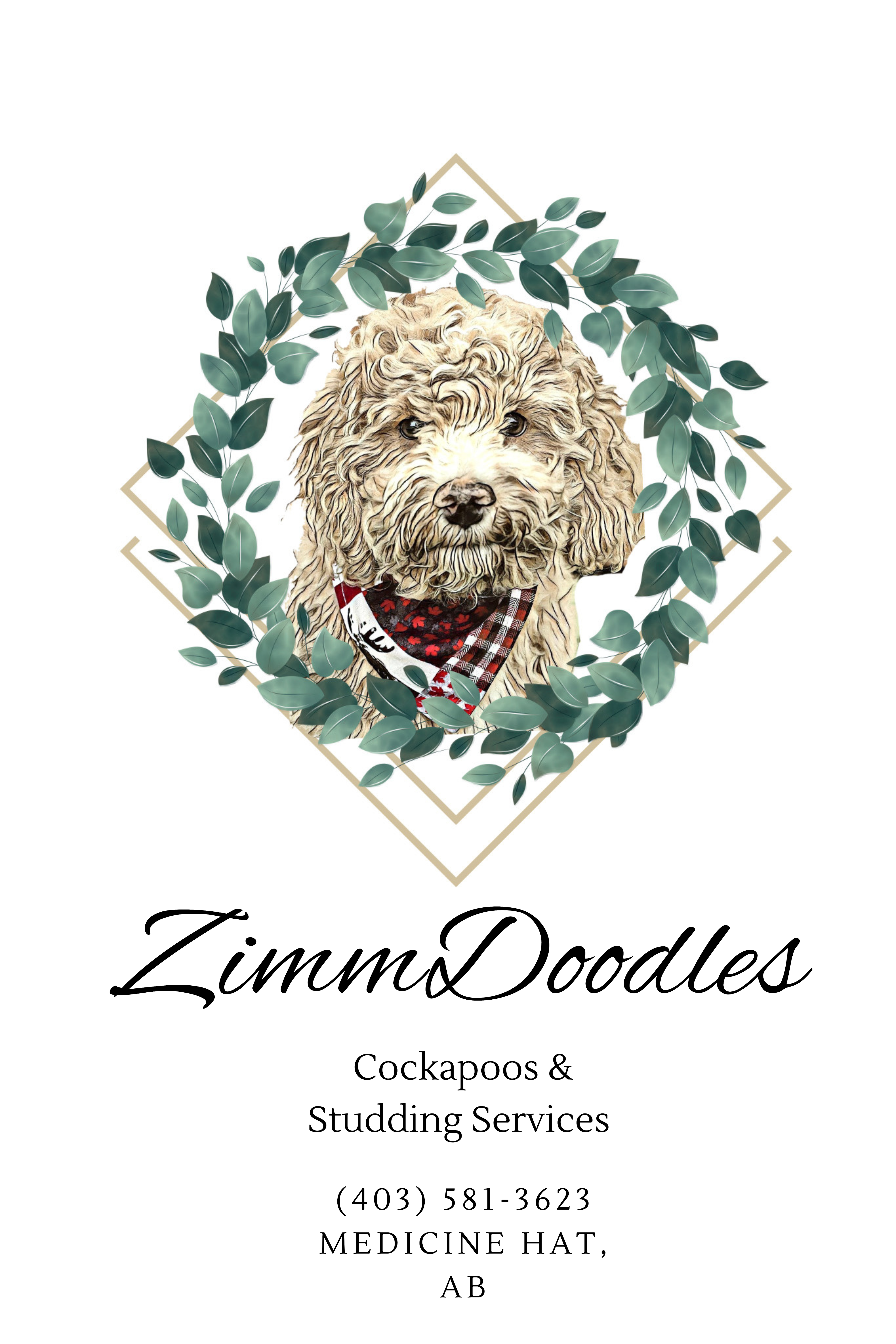 ZimmDoodles