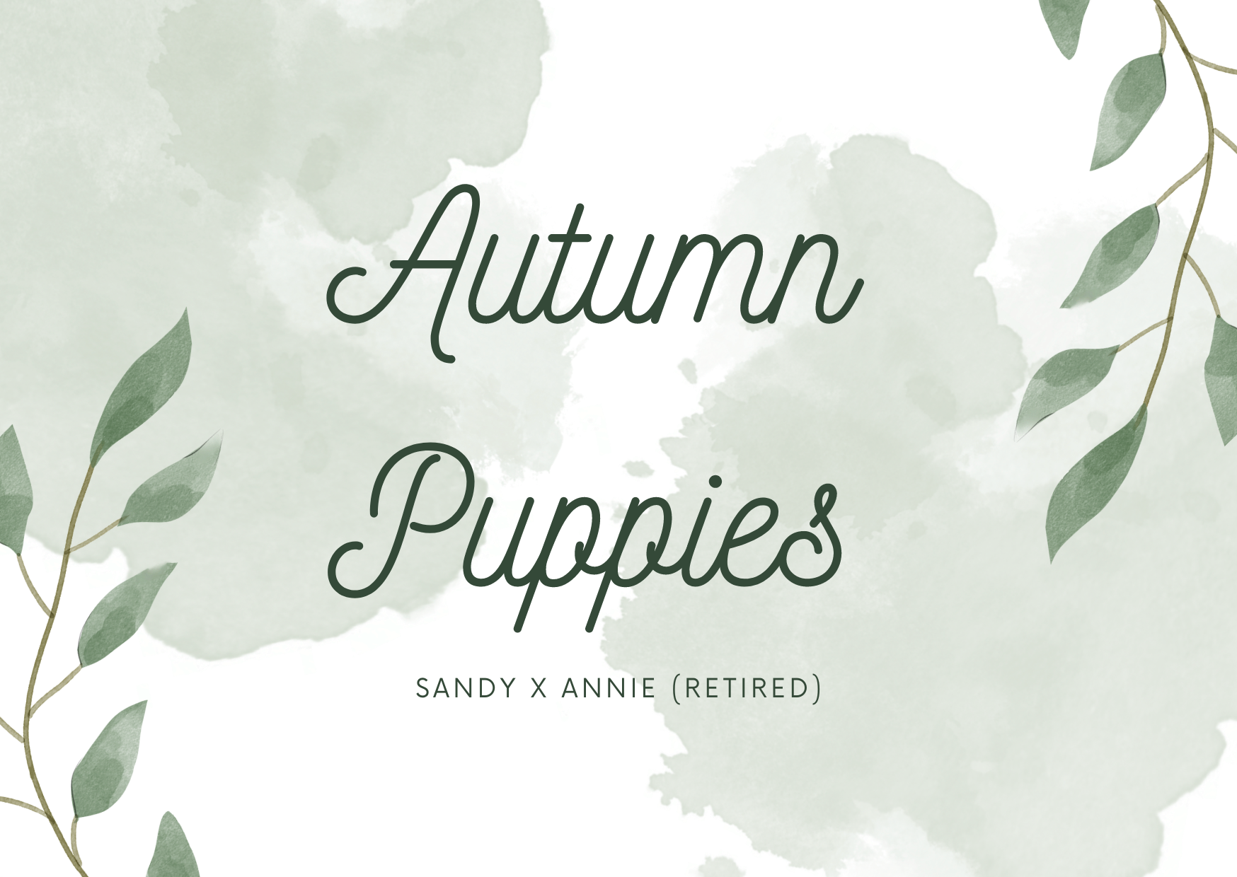 Autumn Puppies